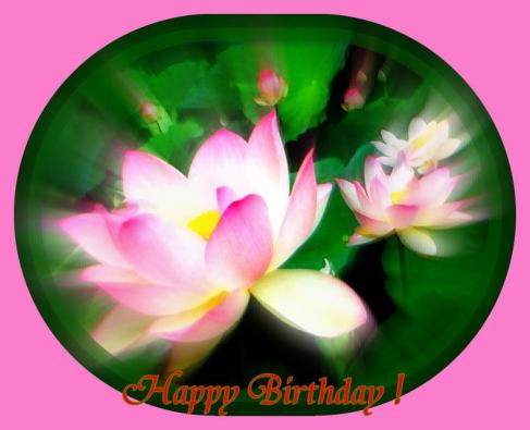 happy-birthday-all-lotus.jpg